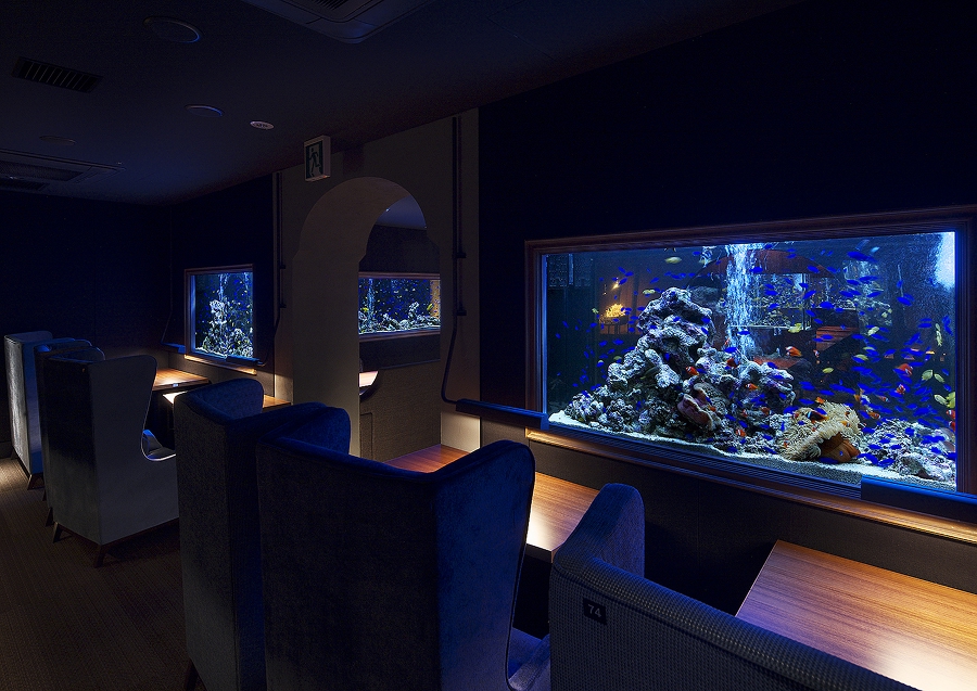 アクアリウムイタリアン 心斎橋ライムのお席の写真