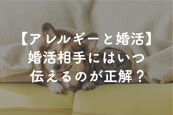 猫アレルギー・犬アレルギーは婚活でいつ伝える？結婚前に確認したいポイント