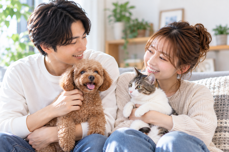 犬や猫などペットを飼っている人の結婚相談所での婚